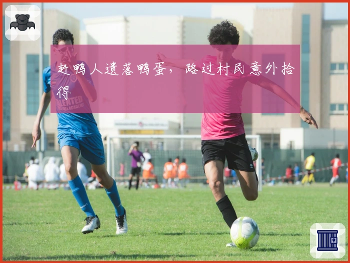 赶鸭人遗落鸭蛋，路过村民意外拾得